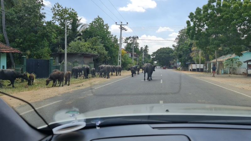 2023 Sri Lanka Bandarawela