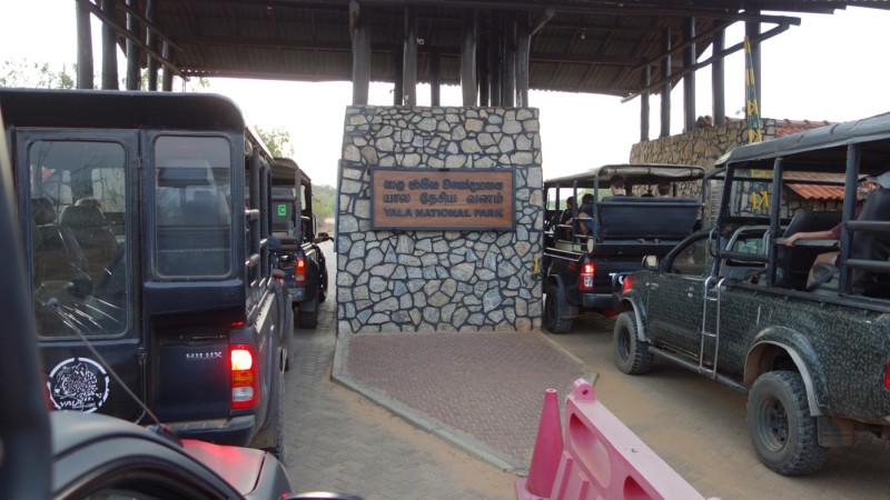 2023 Sri Lanka Yala Nationalpark