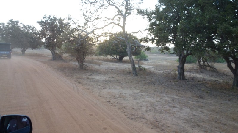 2023 Sri Lanka Yala Nationalpark