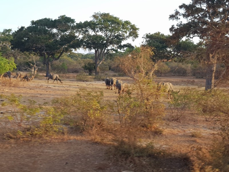 2023 Sri Lanka Yala Nationalpark