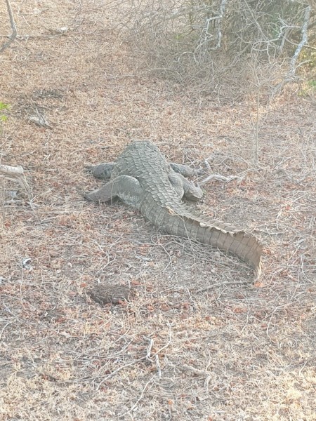 2023 Sri Lanka Yala Nationalpark
