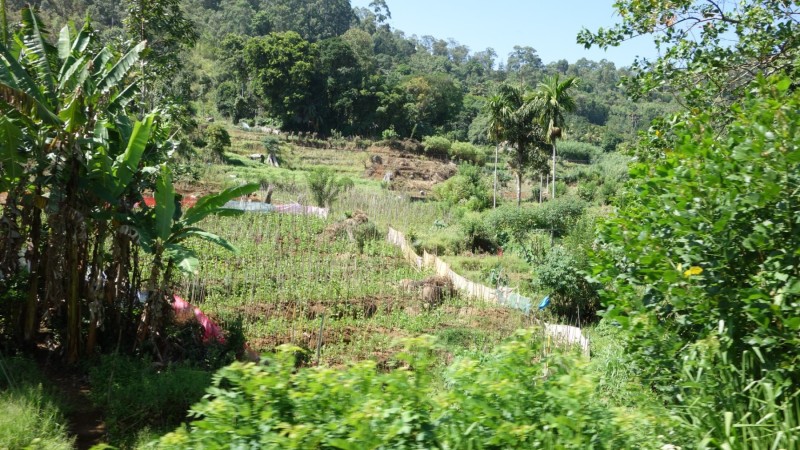 2023 Sri Lanka Zugfahrt von Ella nach Nanuoya