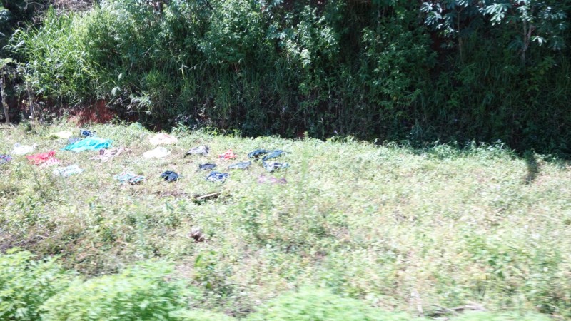 2023 Sri Lanka Zugfahrt von Ella nach Nanuoya