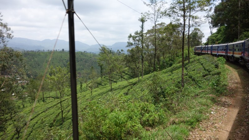 2023 Sri Lanka Zugfahrt von Ella nach Nanuoya