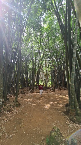2023 Sri Lanka Kandy Botanischer Garten