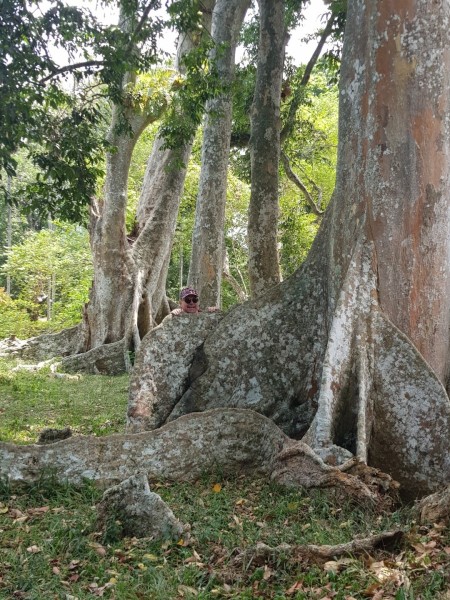 2023 Sri Lanka Kandy Botanischer Garten
