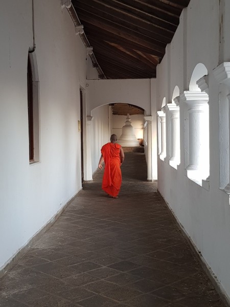 2023 Sri Lanka Höhlentempel Dambulla