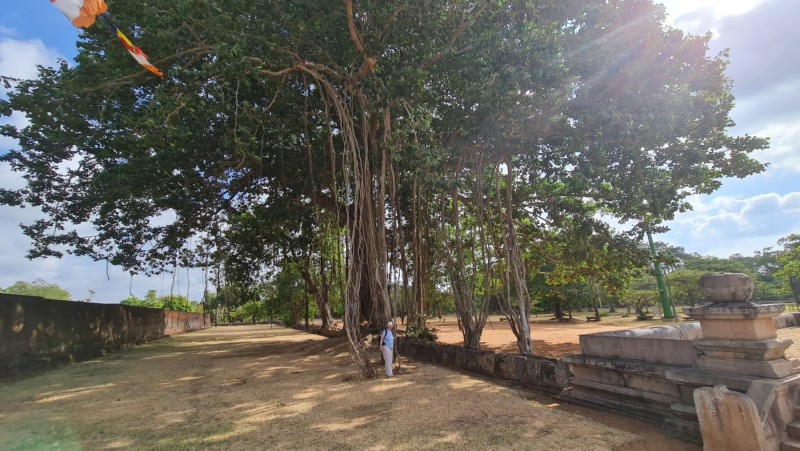 2023 Sri Lanka Königsstadt Anuradhapura