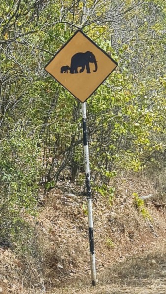 2023 Sri Lanka Königsstadt Anuradhapura