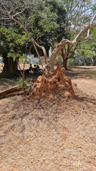 2023 Sri Lanka Polonnaruwa