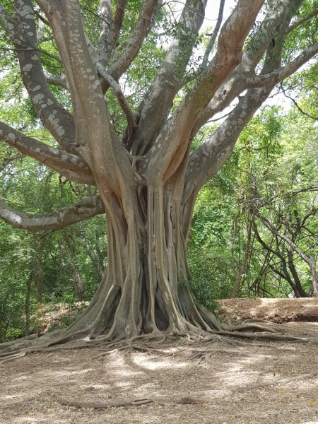 2023 Sri Lanka Polonnaruwa