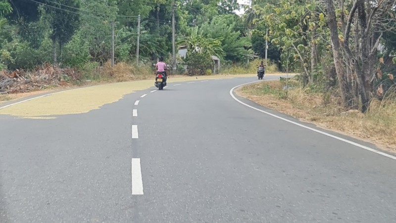 2023 Sri Lanka Fahrt nach Trincomalee