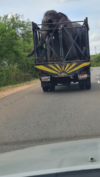 2023 Sri Lanka Fahrt nach Trincomalee