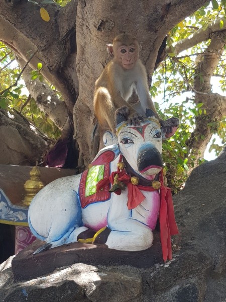 2023 Sri Lanka Trincomalee Fort Frederick